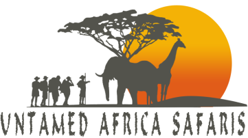 untamed africa safaris
