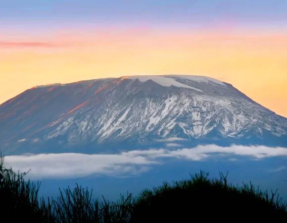 5 Days Mt Kilimanjaro Trekking Rongai Route