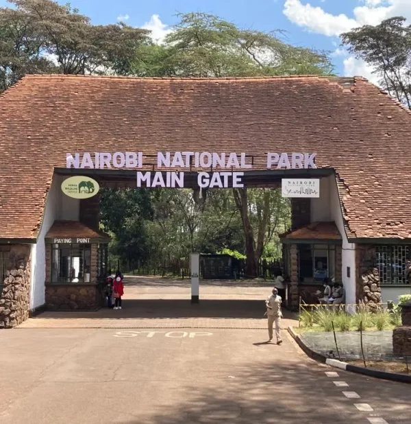 Nairobi National Park Half Day Excursion