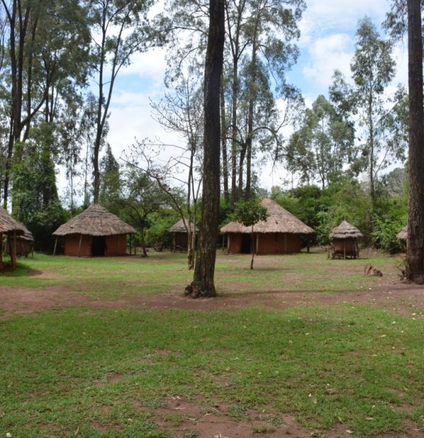 Bomas of Kenya Half a day Excursion