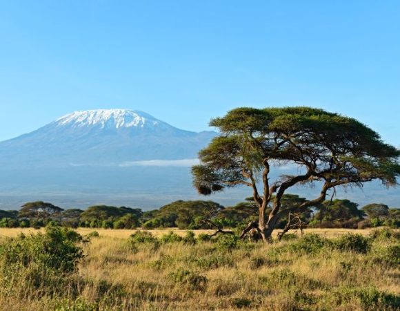 3 Days of Amboseli Safari