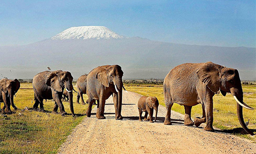 3-days-amboseli-national-park-safari