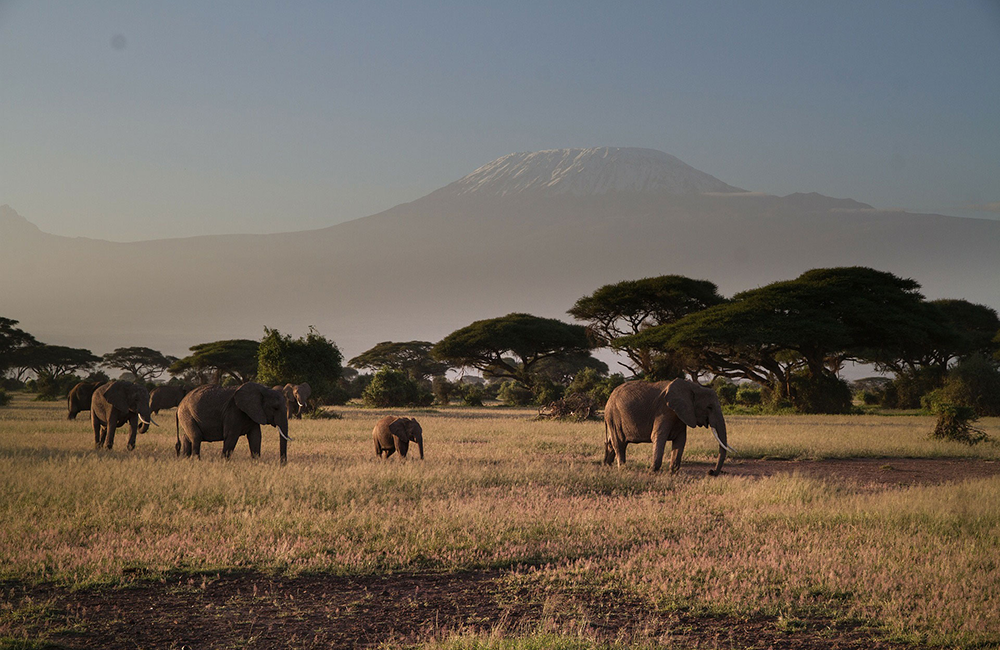 3-days-amboseli-national-park-safari