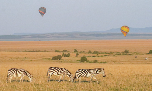 9-days-amboseli-serengeti-lake-manyara-ngorongoro-crater-safari