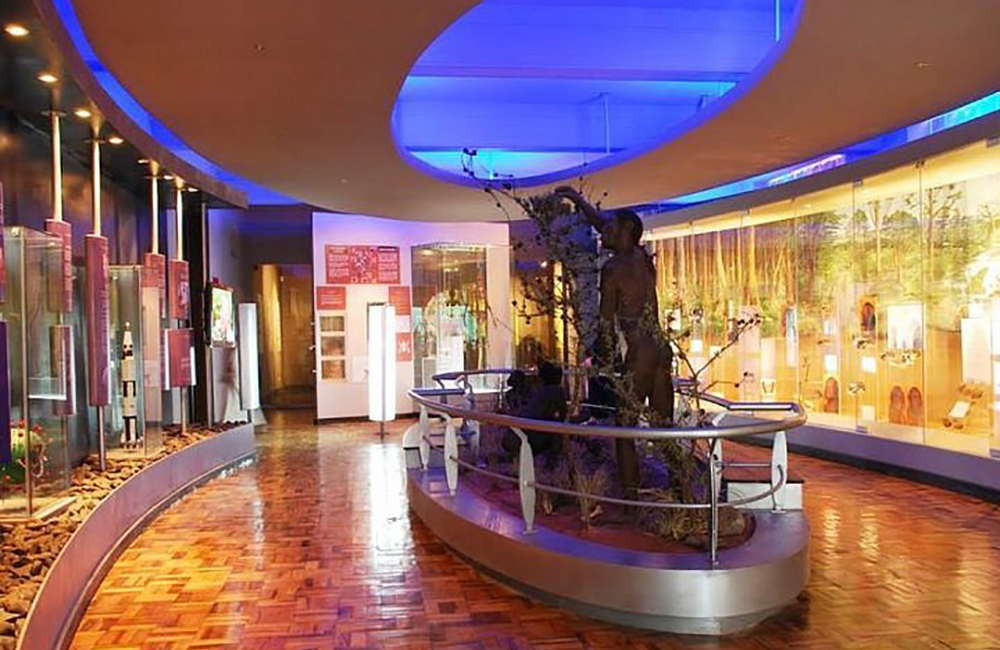 nairobi-national-museum-day-tour