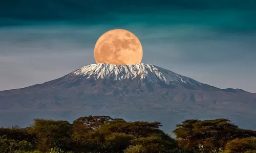 https://untamedafrica-safaris.co.ke/6-days-mount-kilimanjaro-umbwe-route/