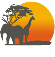 untamed-safaris-logo