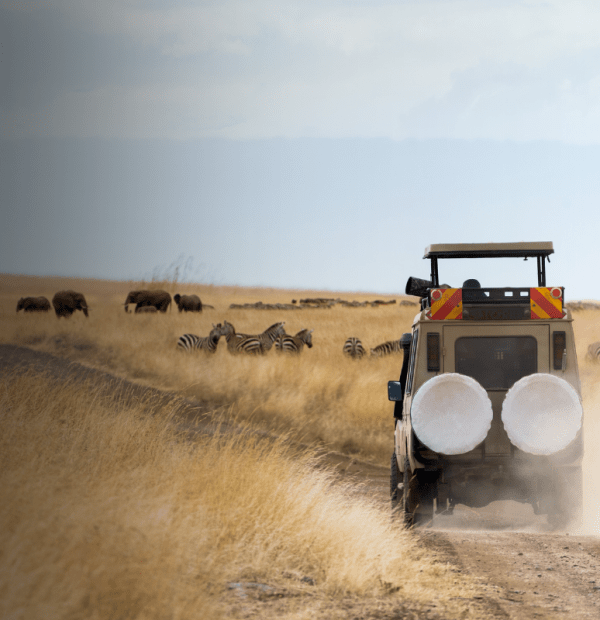 3 Days / 2 Nights Masai Mara Mahali Mzuri Camp flying package